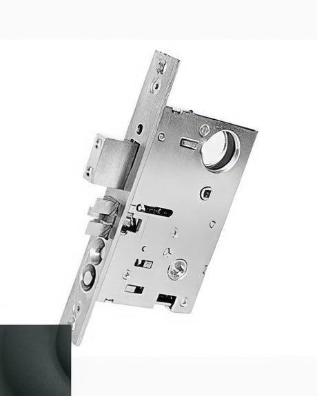 Baldwin 6055190RRLS satin black privacy door lever