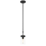 Access Lighting 62309-MBL/CLR 1 light pendant
