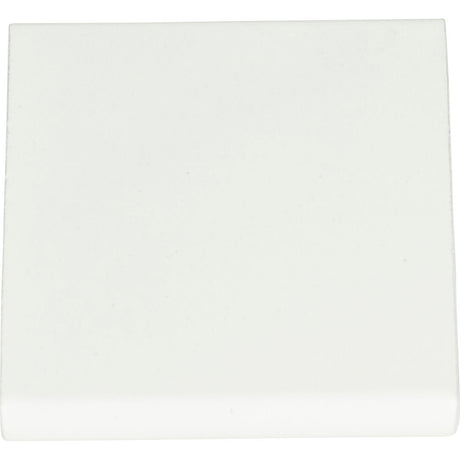 Atlas Homewares A831-WG white gloss cabinet pull