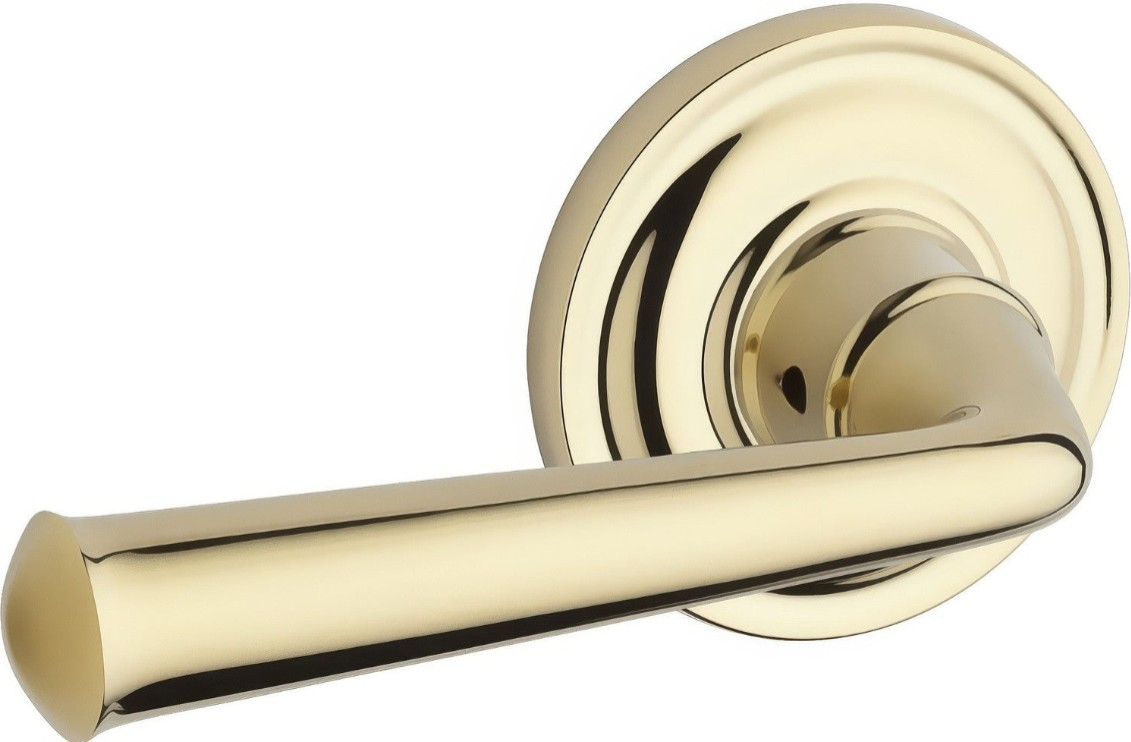 Baldwin HDFEDTRR003 polished brass single dummy