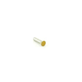 LCN LCNTB3 bright brass plated thru bolt