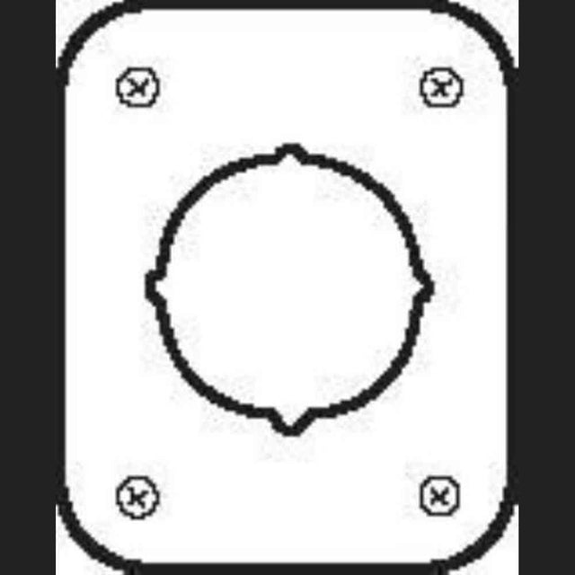 Don-Jo RP135452605 bright brass remodeler plate