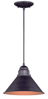 Vaxcel T0493 T0349 10" Outland Steel Outdoor Pendant Light Brushed Pewter