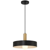 Access Lighting 23798-BWA Slate Black with Antique Brushed Brass