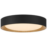 Access Lighting 49911LEDDCS-MBL/ACR Maddy Matte Black