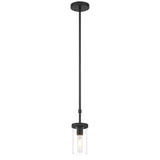 Access Lighting 62309-MBL/CLR Lily Matte Black