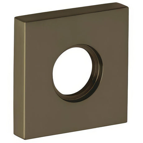 Baldwin 5056050I satin brass and black rosette