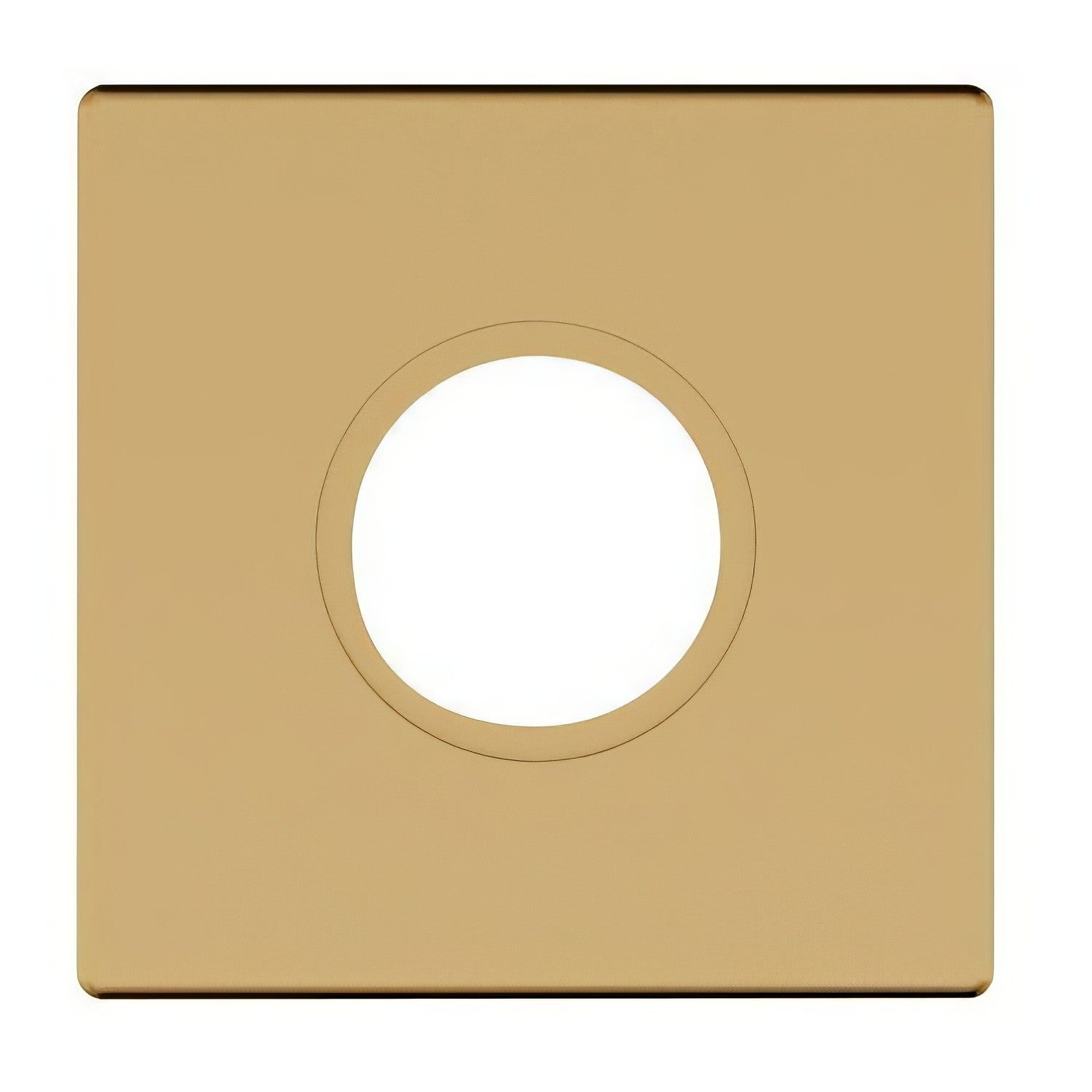 Baldwin R017033IDM R017.IDM Individual Estate Rosette for Dummy Functions Vintage Brass