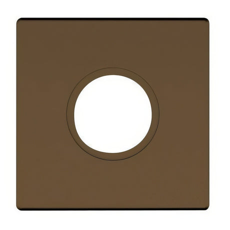 Baldwin R017050FD satin brass and black rosette