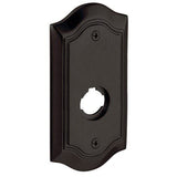 Baldwin R028031IDM R028.IDM Individual 5.65" Height Bethpage Dummy Rosette Non Lacquered Brass