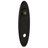 Baldwin R041030LPV R041.LPV Individual 10.75" Height Oval Left Hand Privacy Rosette Polished Brass