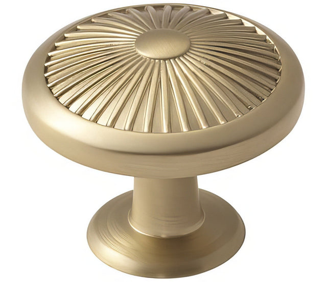Amerock BP36613BBZ golden champagne cabinet knob
