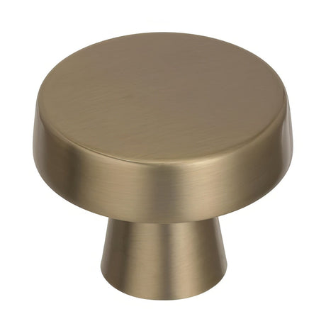 Amerock BP55272BBZ golden champagne cabinet knob