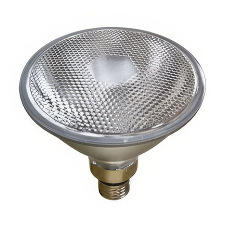 Dabmar Lighting DL-PAR38-70MH white light bulb
