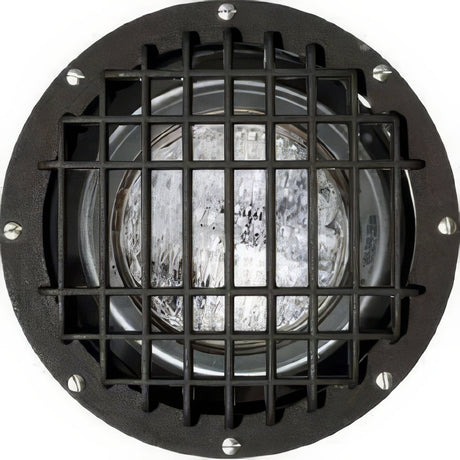 Dabmar Lighting FG4380-MED/GRL-MT bronze in ground well light