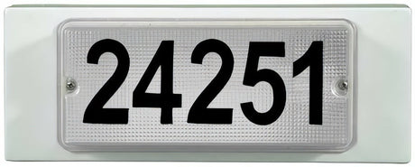 Dabmar Lighting W9301-W 13W Fluorescent Illuminated Address Wall Light - White