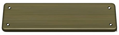 Deltana DASHCPU5 spring hinge, additional view