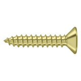 Deltana SCWB1010U3 SCWB1010 #10 x 1" Wood Screw Polished Brass