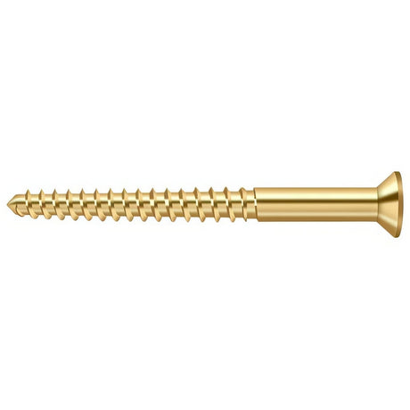Deltana SCWB1225CR003 lifetime polished brass screw pack