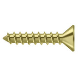 Deltana SCWS1010U3 SCWS1010 #10 x 1" Steel Wood Screw Polished Brass
