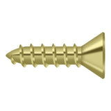 Deltana SCWS1075U3 SCWS1075 #10 x 3/4" Steel Wood Screw Polished Brass