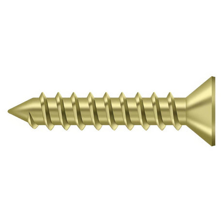 Deltana SCWS12125U3 SCWS12125 #12 x 1-1/4" Steel Wood Screw Polished Brass