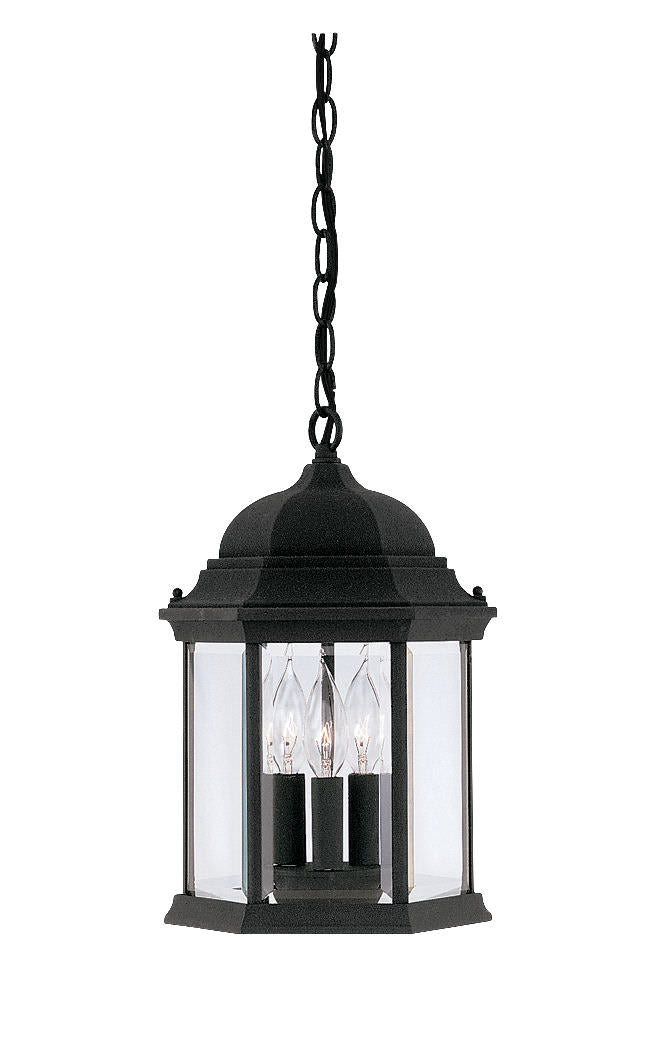 Designers Fountain 2984-BK black hanging lantern