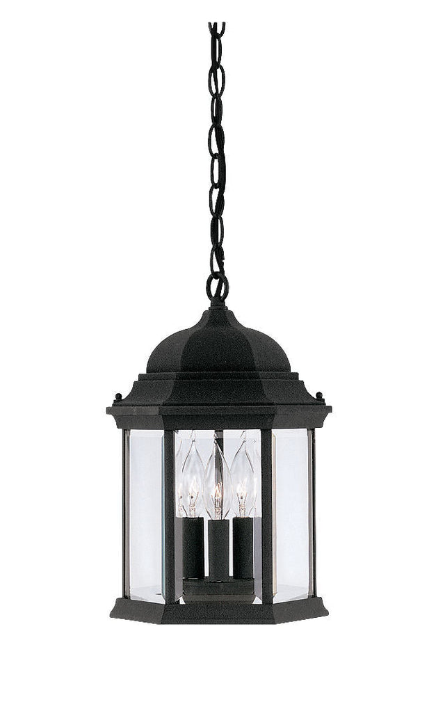 Designers Fountain 2984-BK black hanging lantern