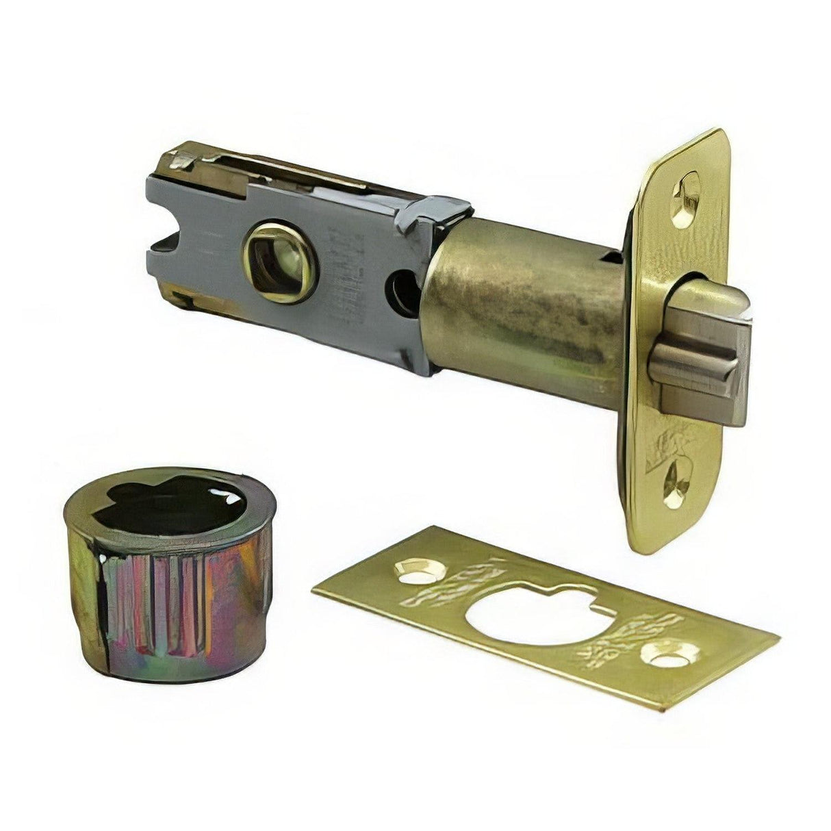 Dexter by Schlage 16255605 16255 Triple Option Deadlatch Bright Brass