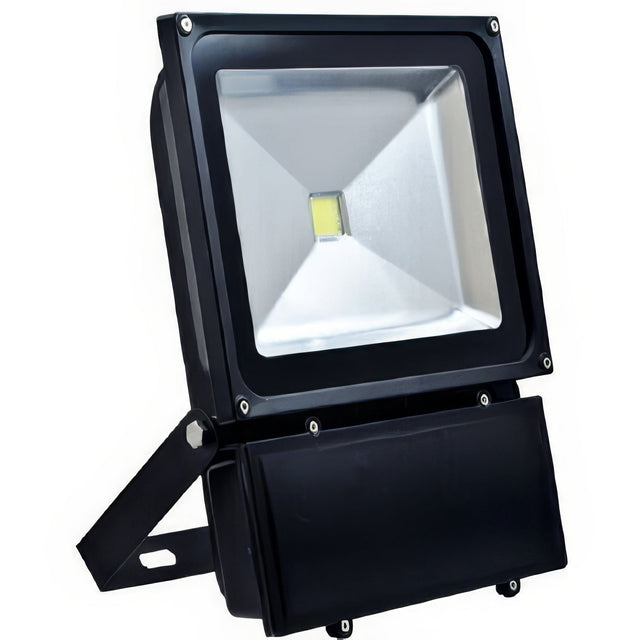 Dabmar Lighting DF-LED5967 black led flood light