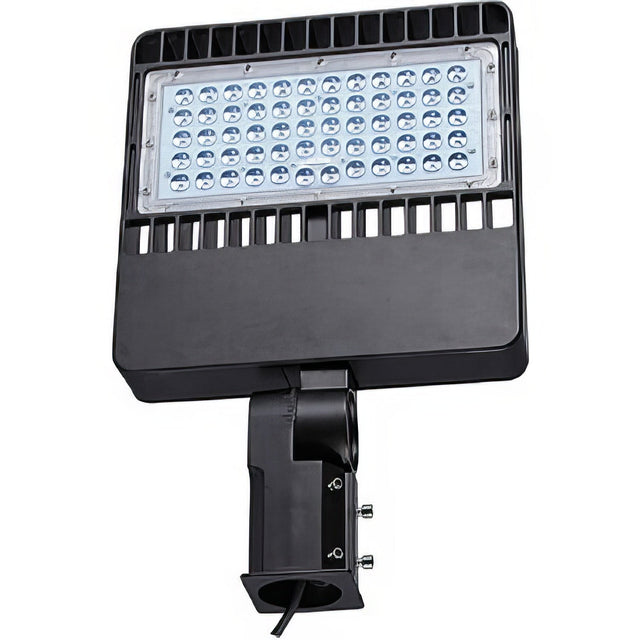 Dabmar Lighting DF-LED7755 black flood light