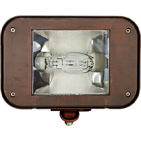 Dabmar Lighting DF1920-BZ bronze flood fixture