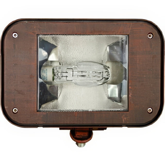 Dabmar Lighting DF1923-BZ bronze flood fixture