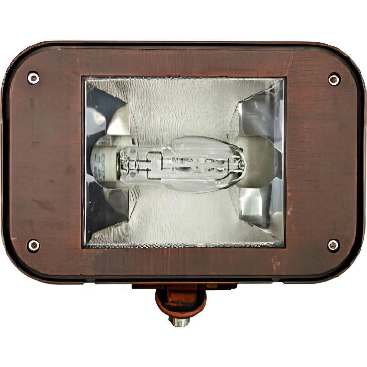 Dabmar Lighting DF1924-BZ bronze flood fixture