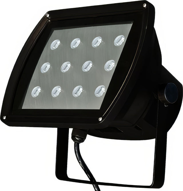 Dabmar Lighting DF5955-LB12-64K-B black flood light