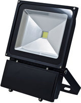 Dabmar Lighting DF5967-LB70-65K-B black flood light