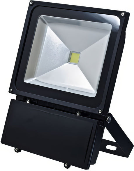 Dabmar Lighting DF5967-LB70-65K-B black flood light
