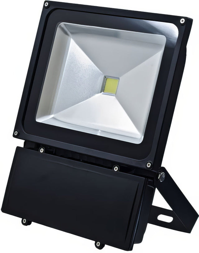 Dabmar Lighting DF5967-LB70-65K-B black flood light