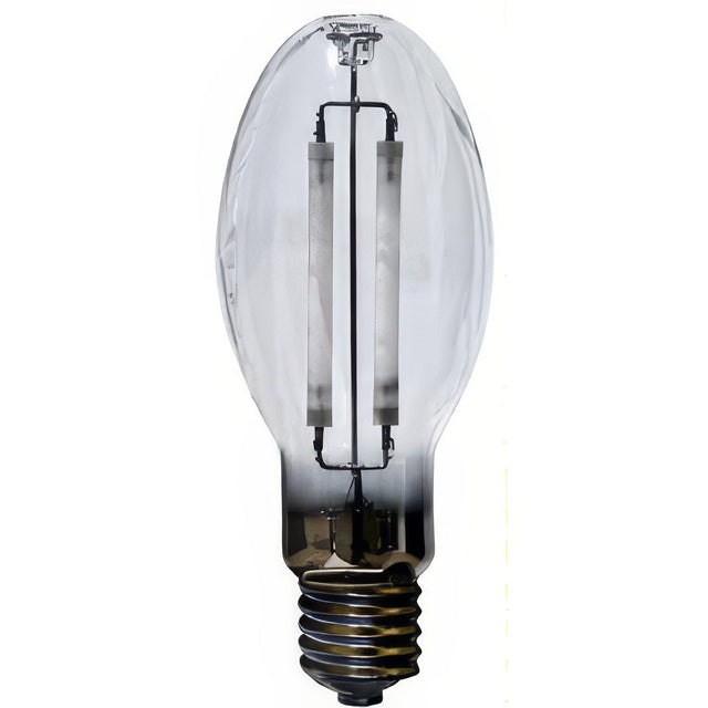 Dabmar Lighting DL-LU100/DA/20K white light bulb