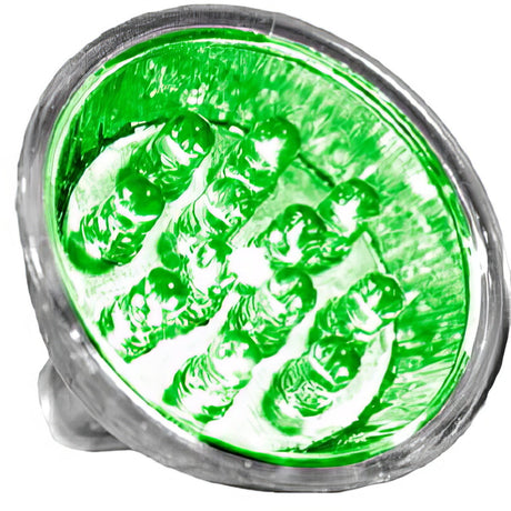 Dabmar Lighting DL-MR16-LED/1-12/G light bulb, additional view