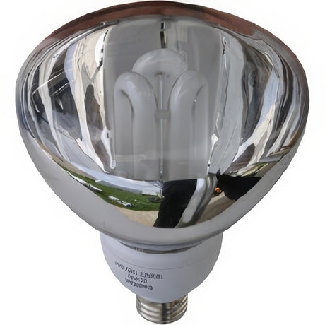 Dabmar Lighting DL-P40-18/64K white light bulb