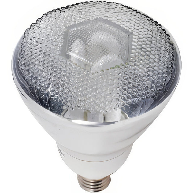 Dabmar Lighting DL-PAR38-15W/64K white light bulb