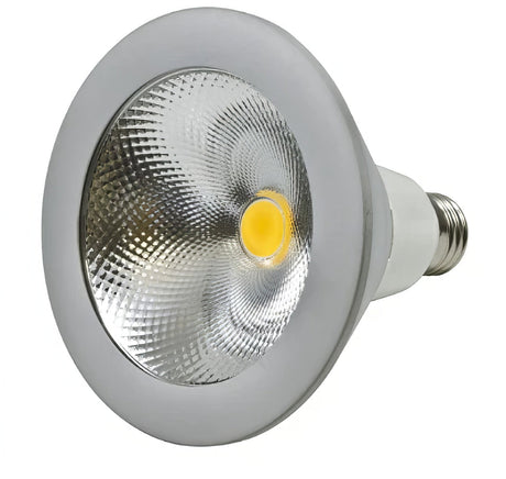 Dabmar Lighting DL-PAR38S-LED25-27K white led bulb