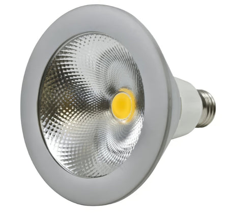 Dabmar Lighting DL-PAR38S-LED25-65K white led bulb