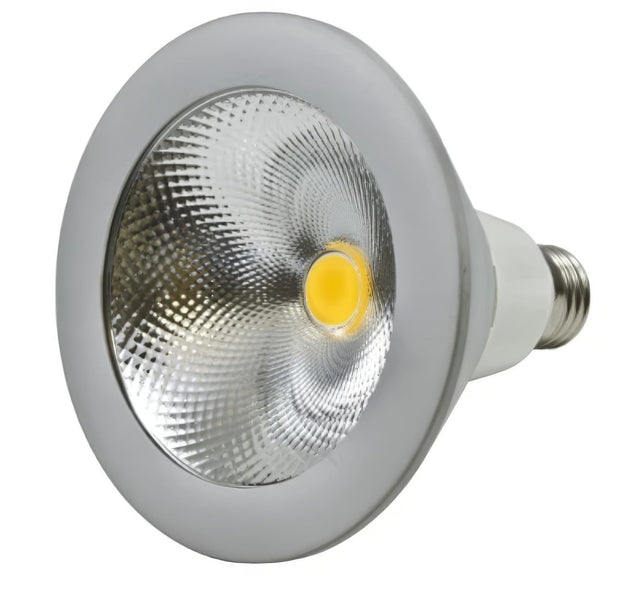 Dabmar Lighting DL-PAR38S-LED25-65K white led bulb