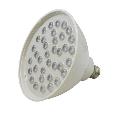 Dabmar Lighting DL-PAR56SMD-40W-RGBW white light bulb