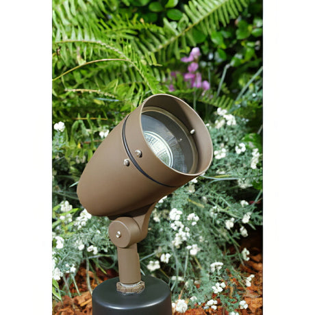 Dabmar Lighting DPR21-BZ bronze directional spotlight