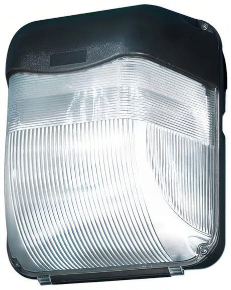 Dabmar Lighting DW1110-L9 -65K-B black outdoor wall light fixture