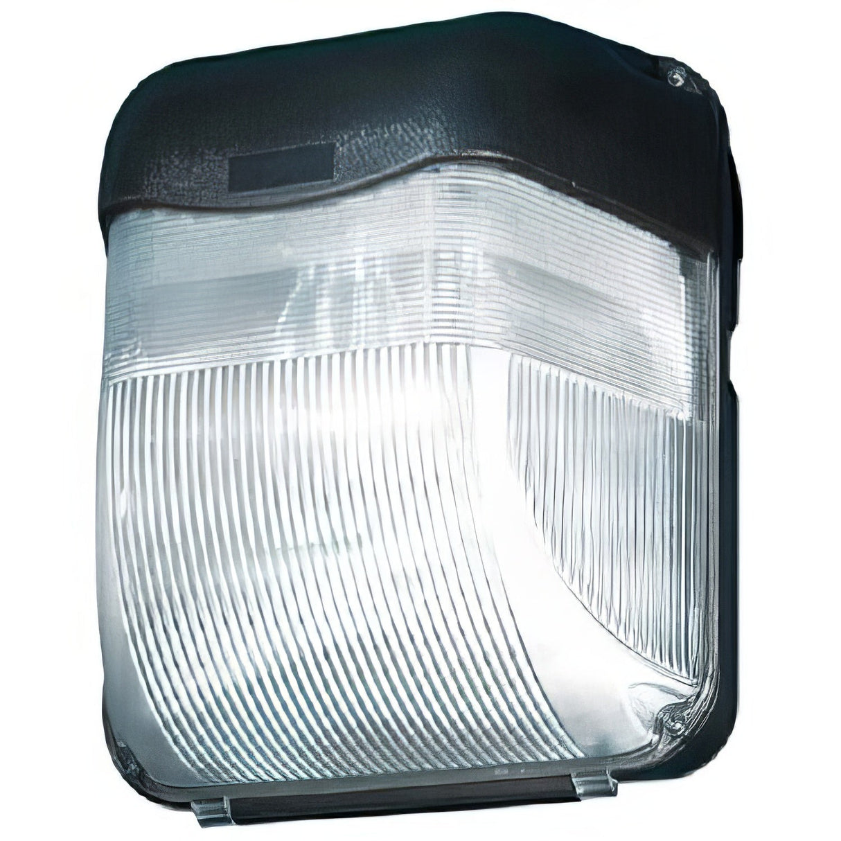 Dabmar Lighting DW1113-B black outdoor wall light fixture