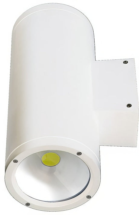 Dabmar Lighting DW3701-LB40-50K-W white outdoor wall light fixture